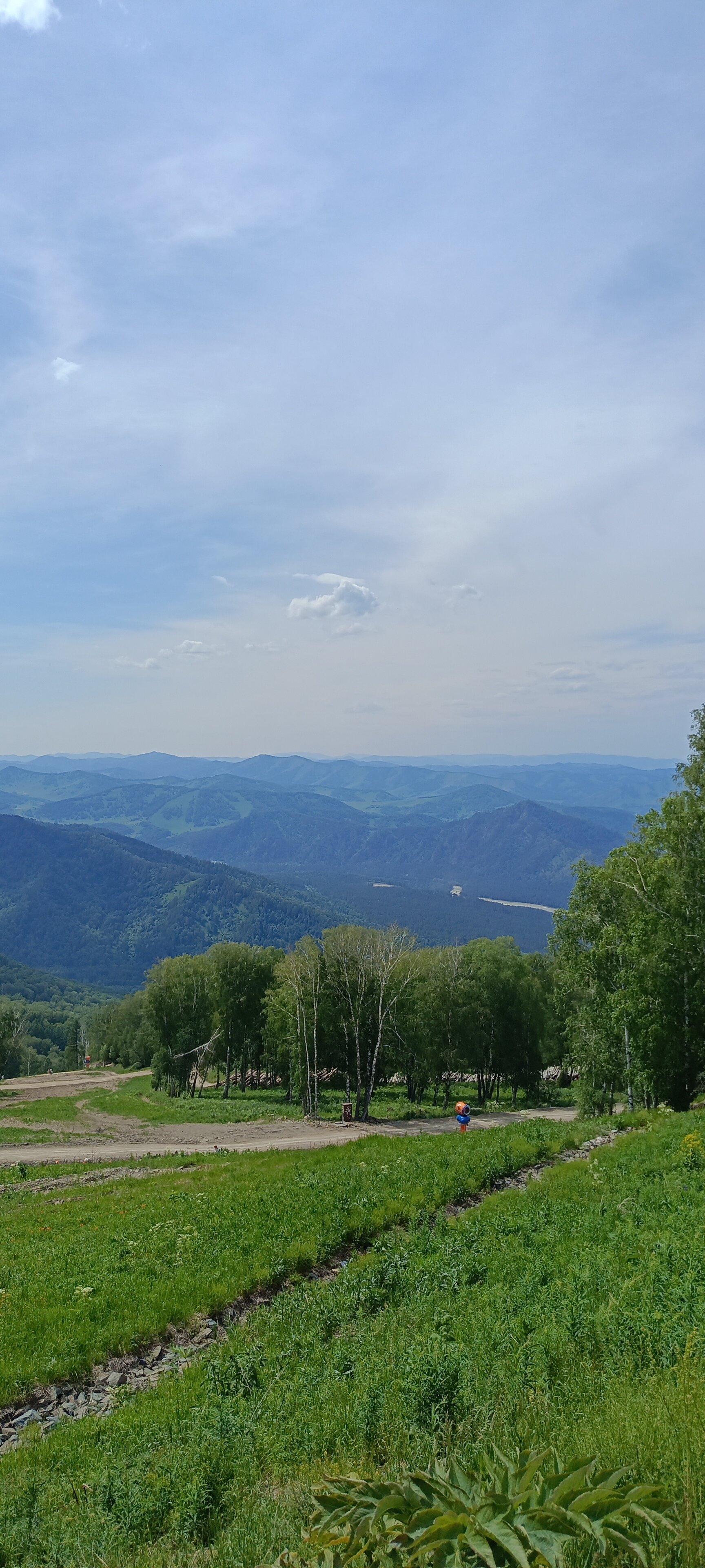 Фото ЧеКаГо