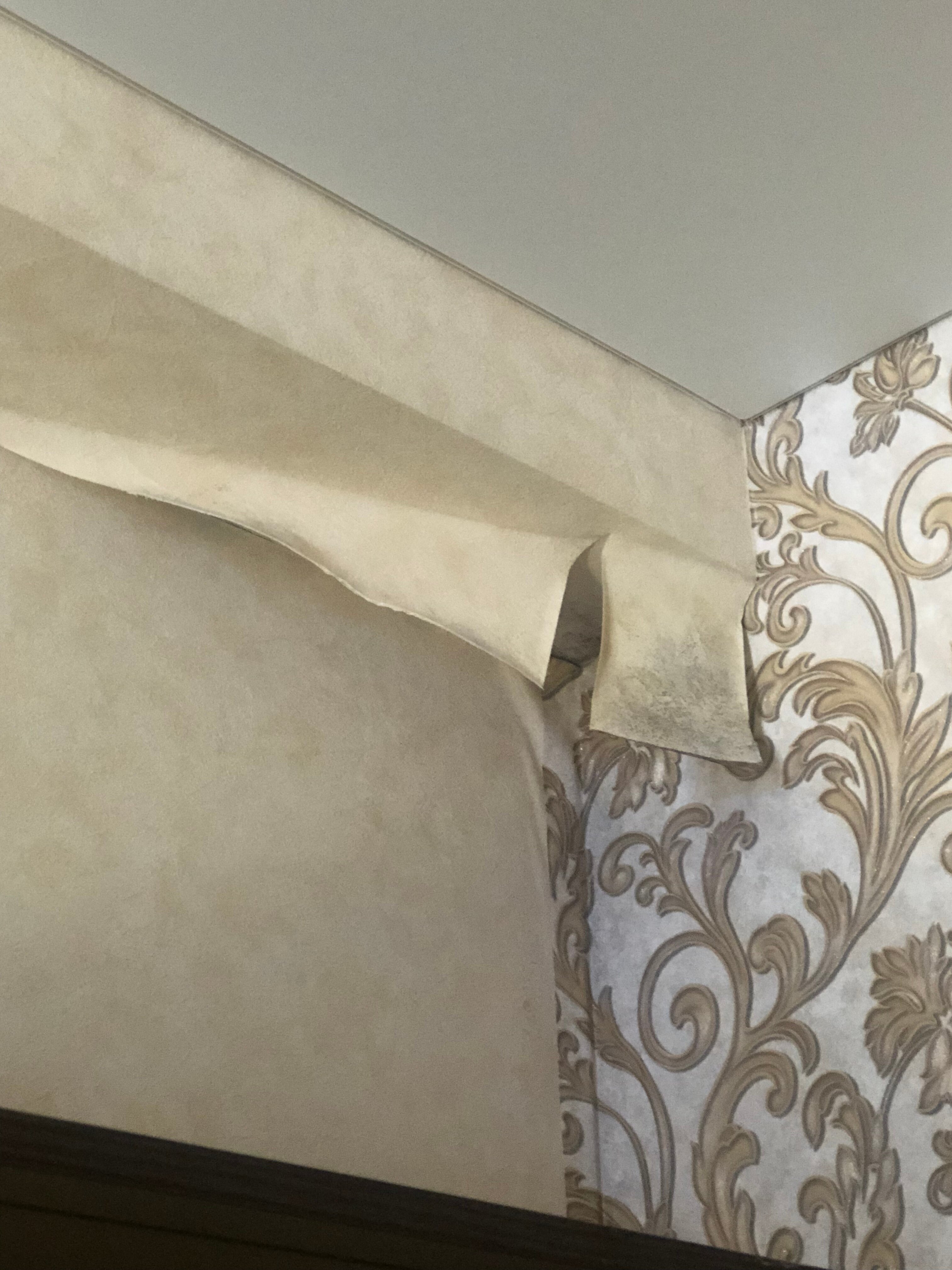 Фото Кардинал