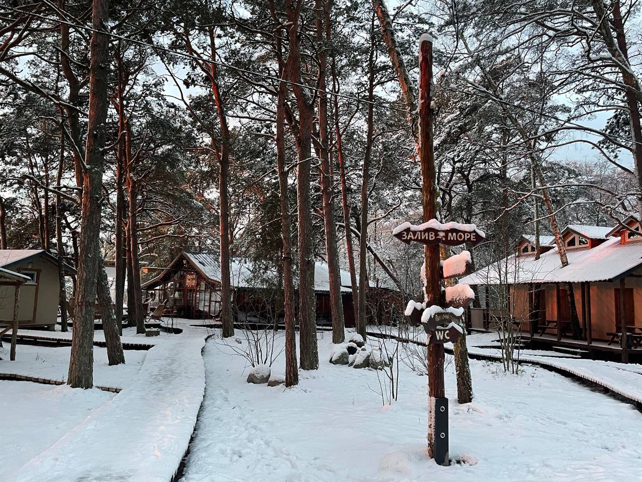 Фото Куршале