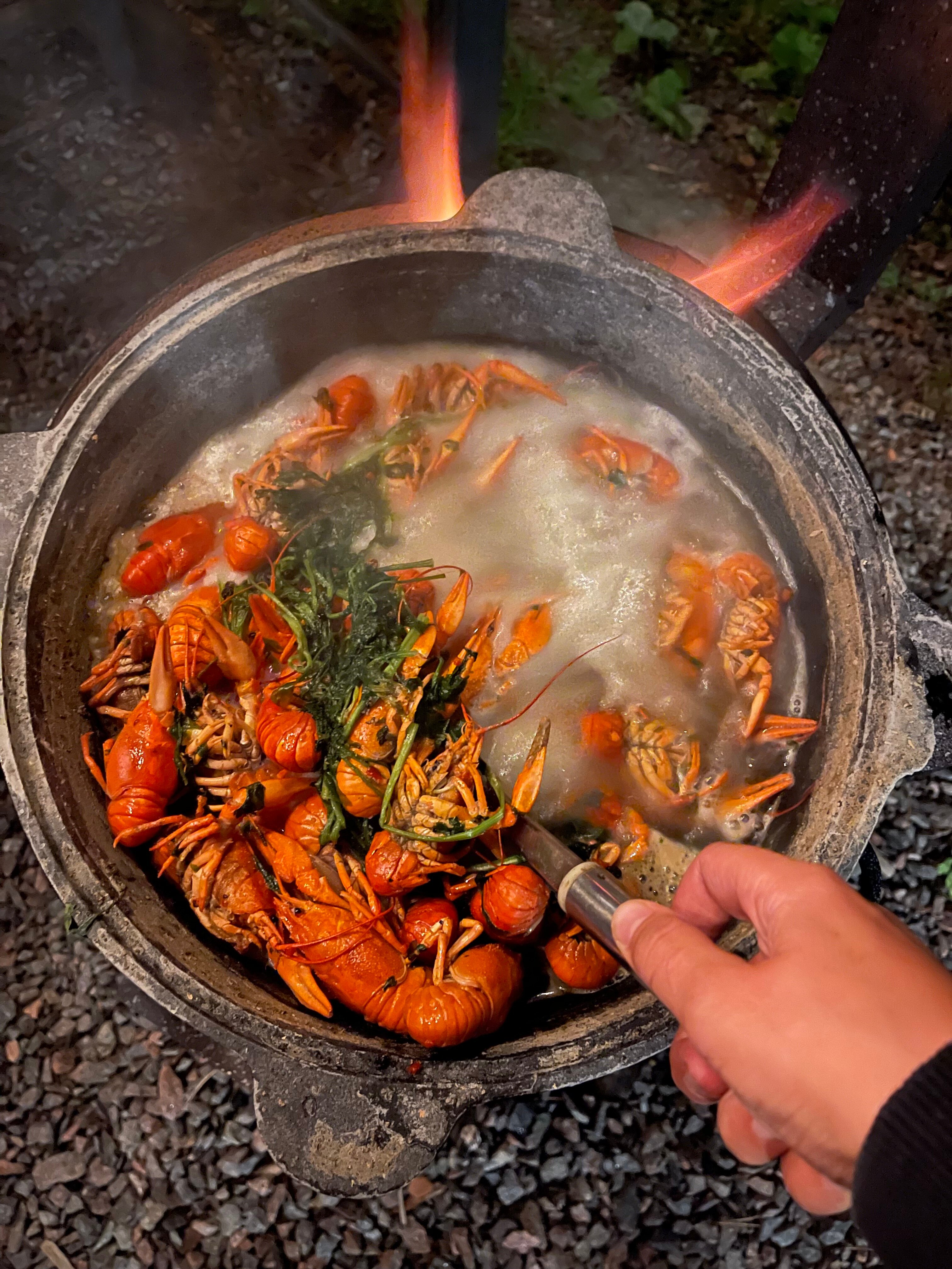 Фото Дача Дом у леса