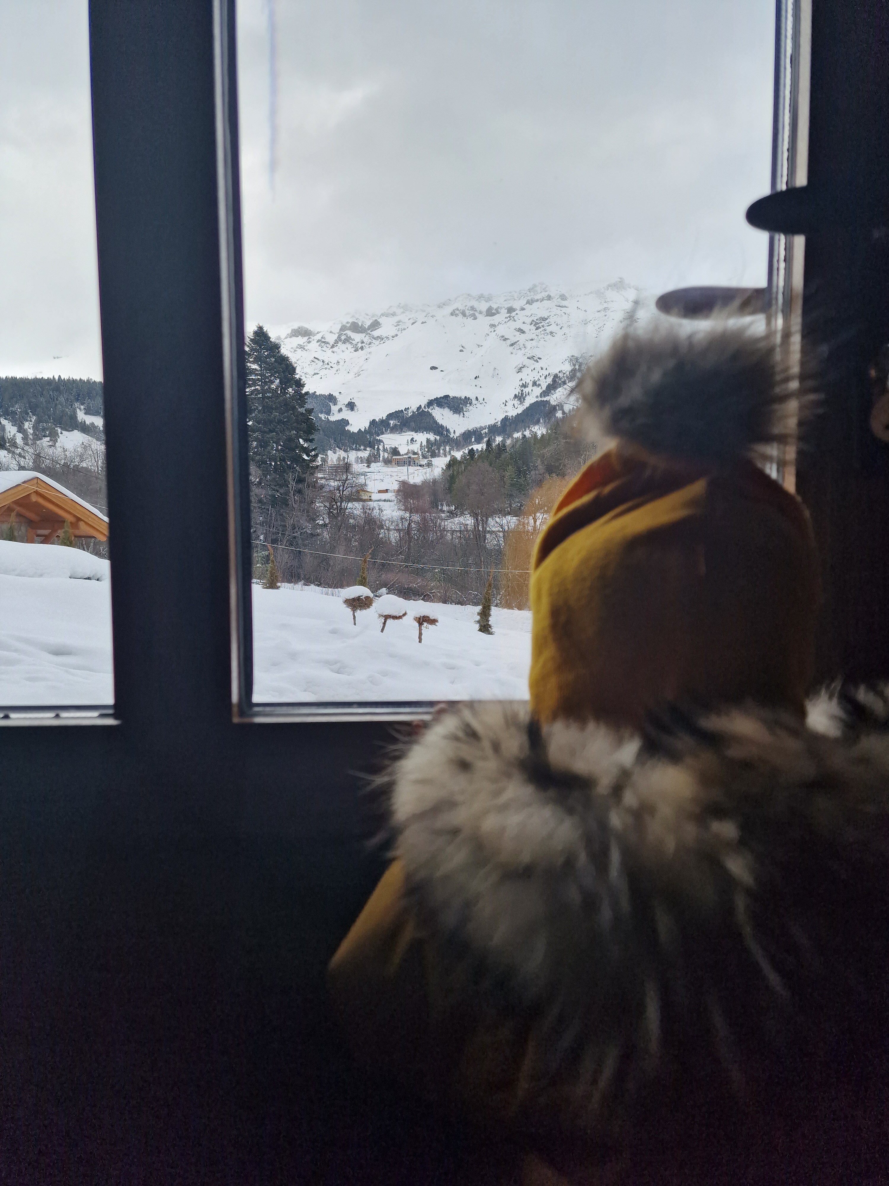 Фото Nart el Shale