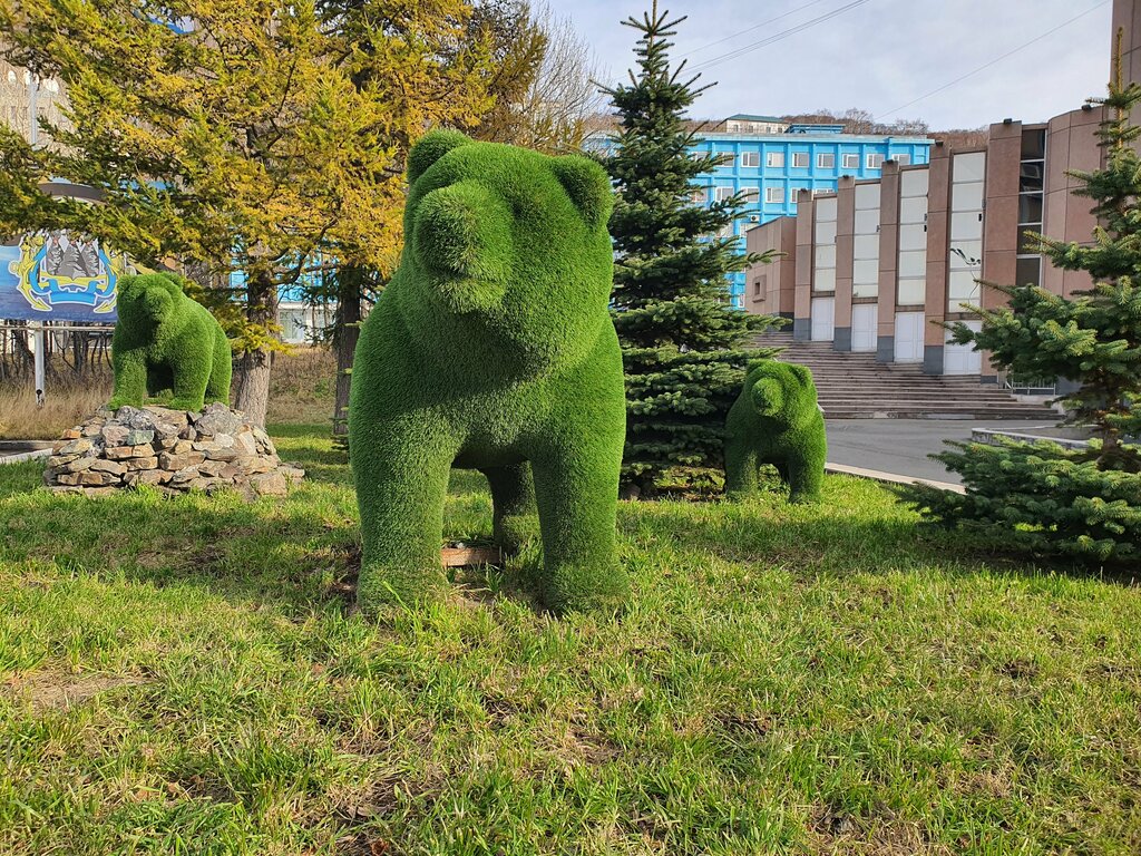 إدارة حكومية Administration of Petropavlovsk-Kamchatsky city district ، ، صورة