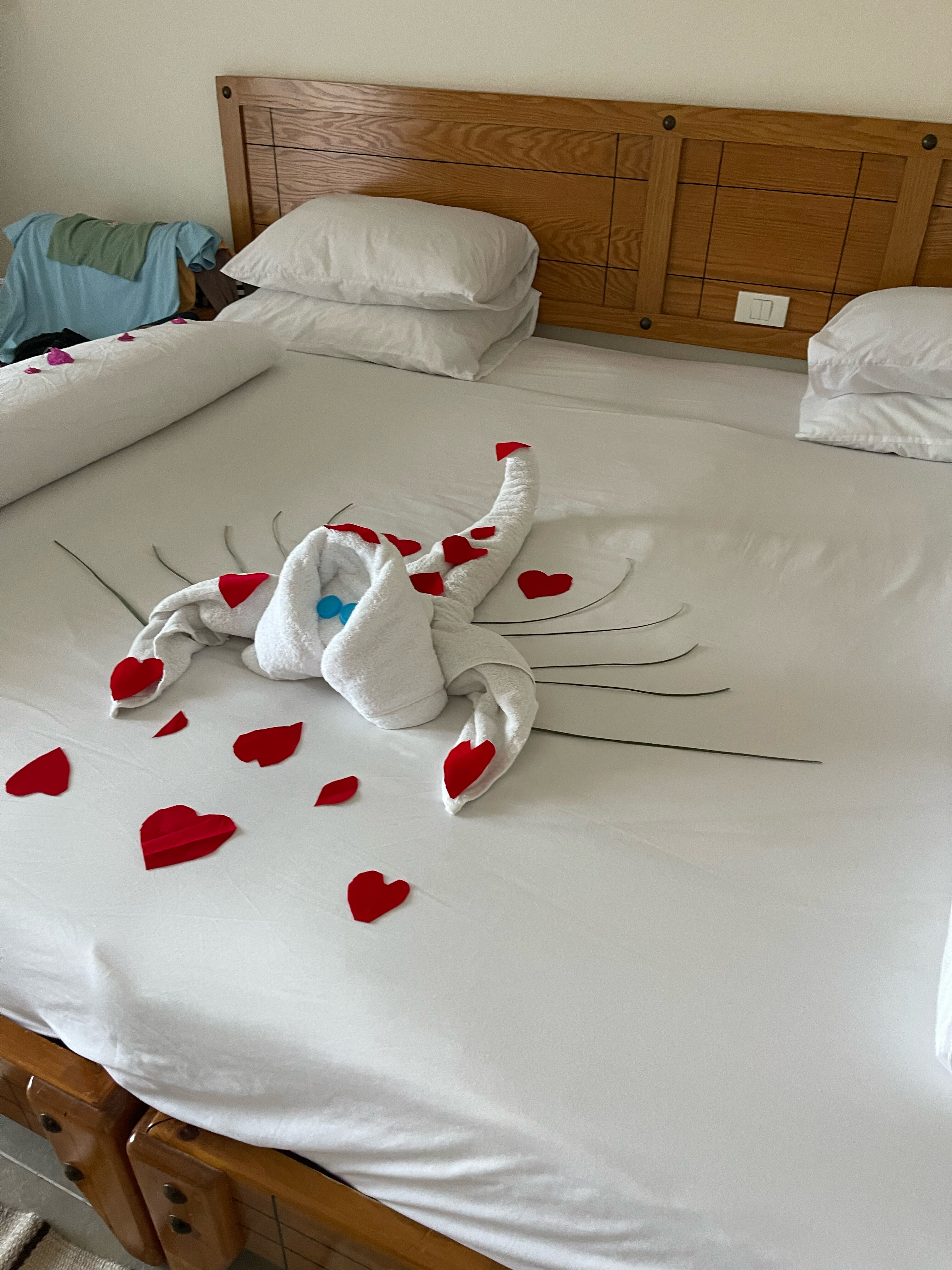 Фото The Three Corners Fayrouz Plaza Beach Resort