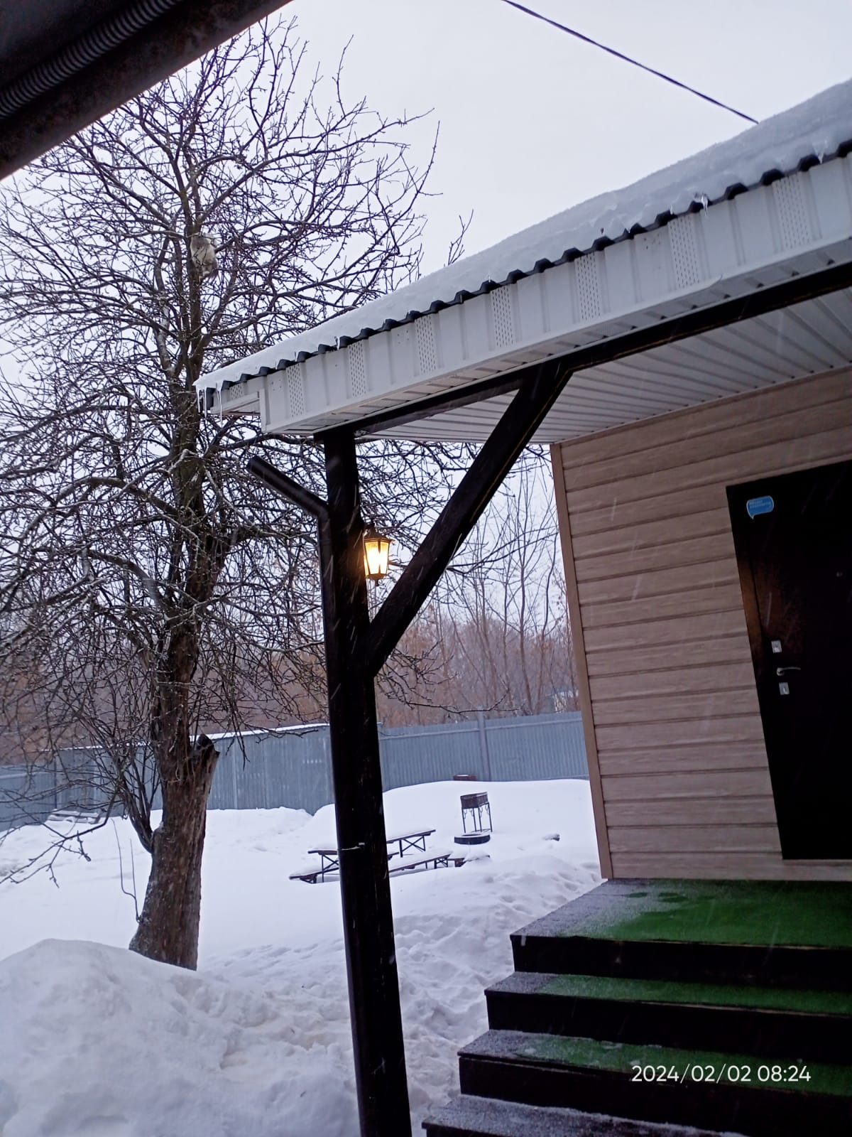 Фото Толстый кот