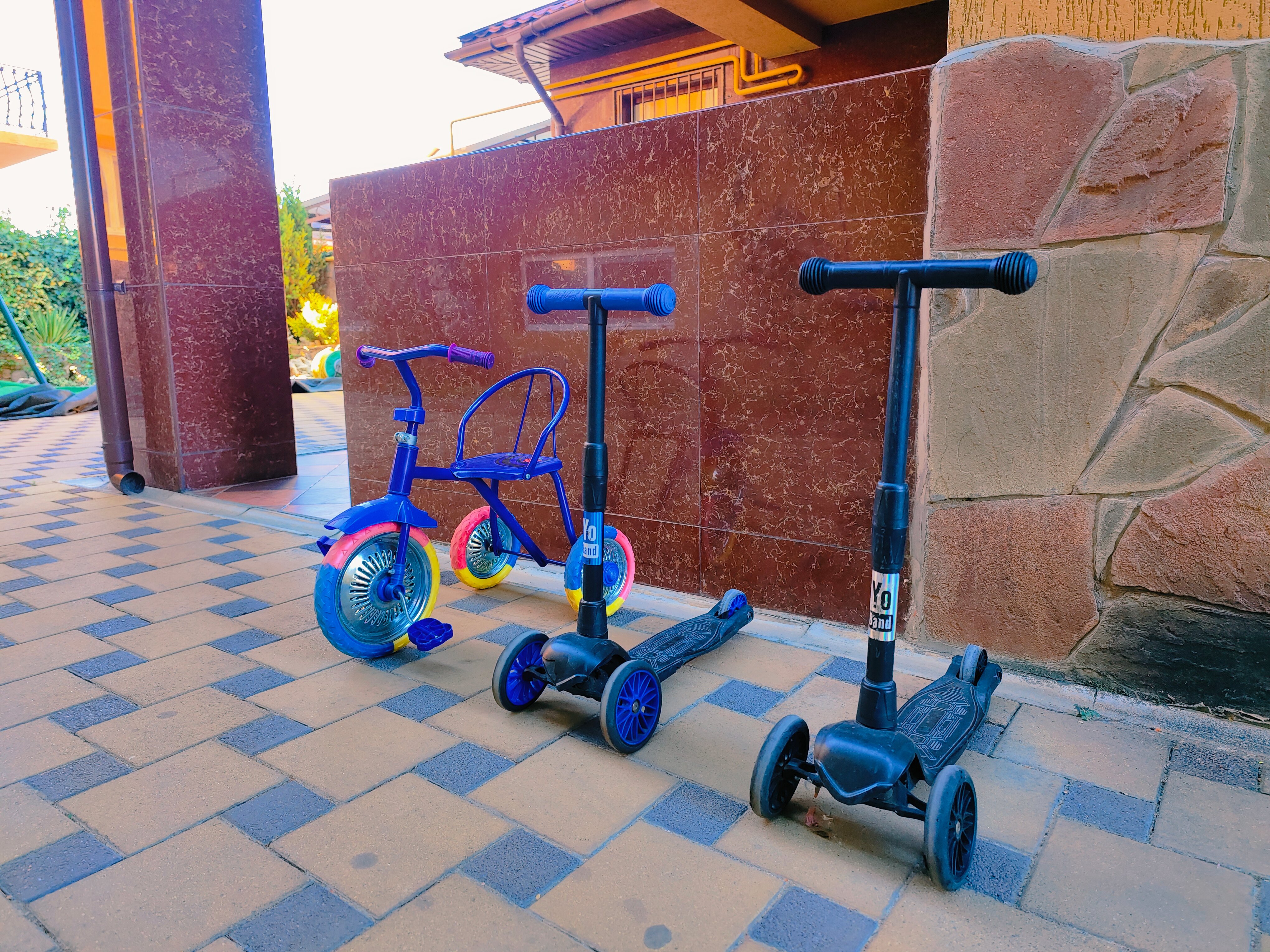 Фото Наутилус