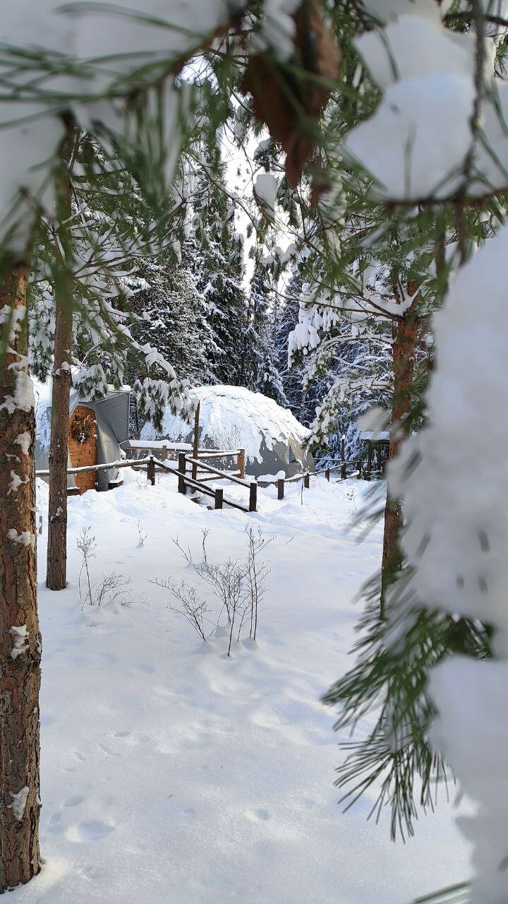 Фото Домики Иволги