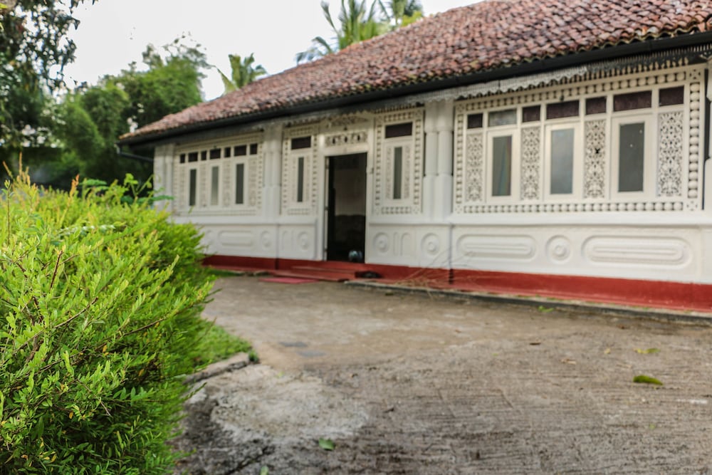 Фото Villa Rosa Blanca - White Rose
