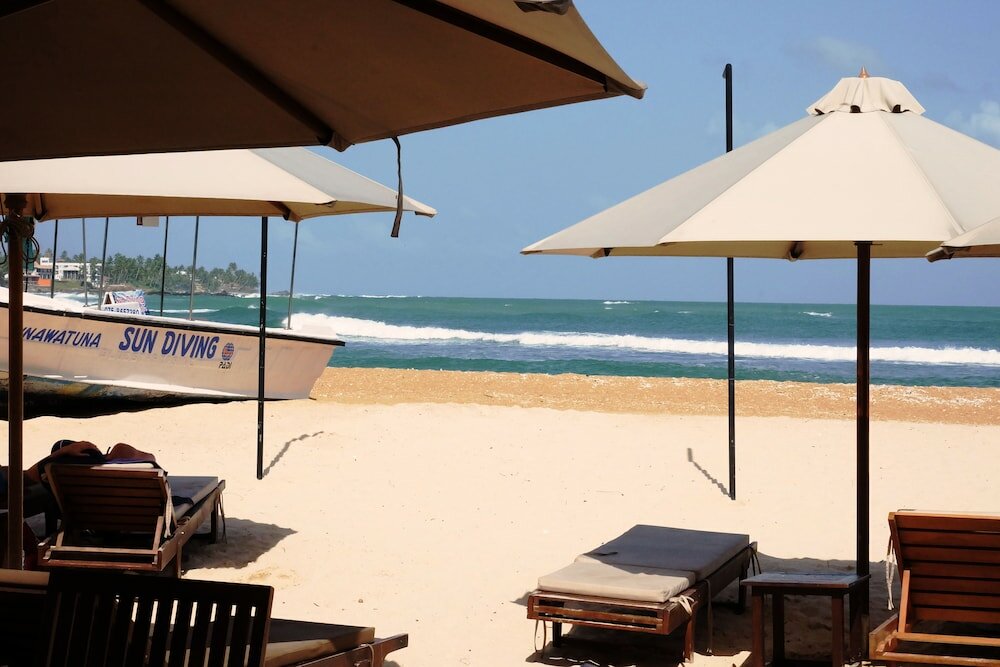 Фото Orchard House