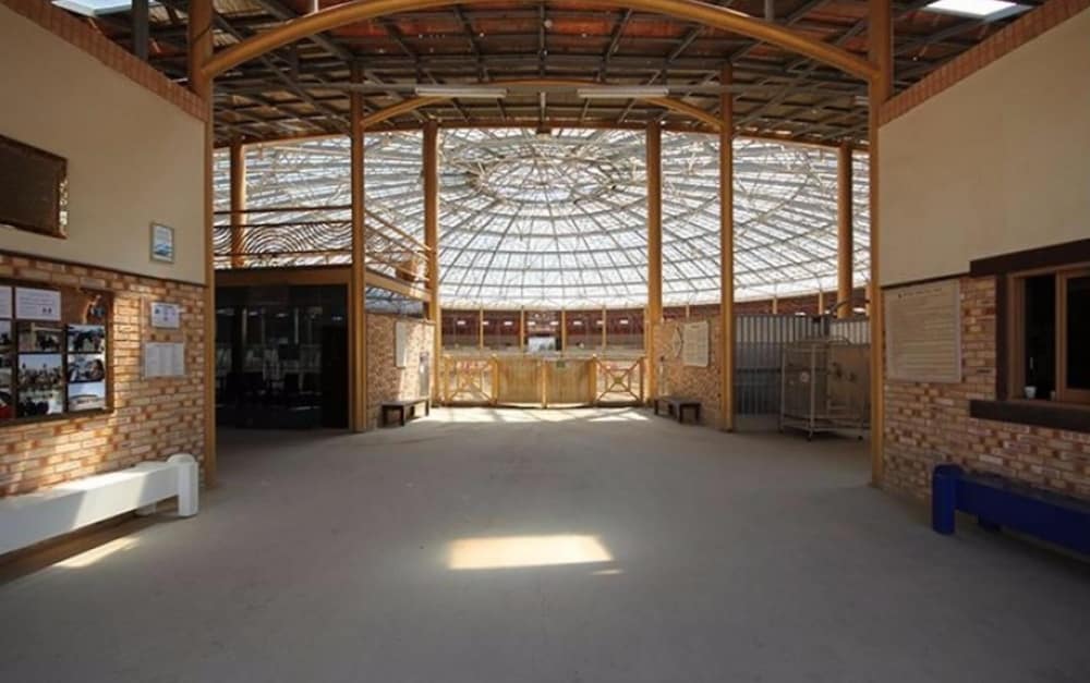 Фото Daebudo Beradel Pension