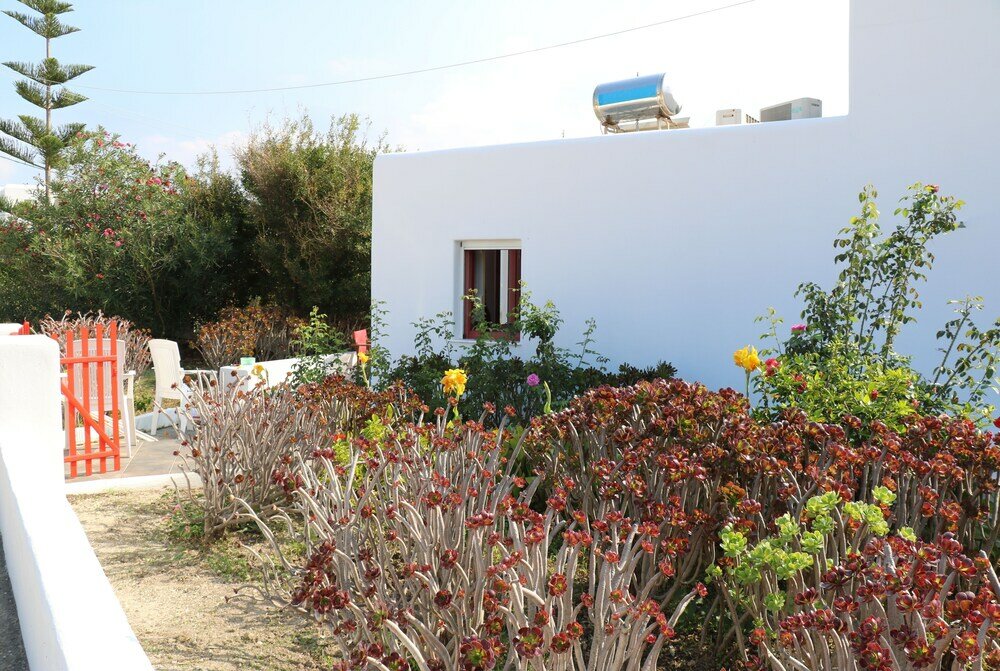 Фото Flora's Red Studios