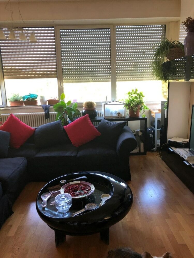 Фото Baci da Roma