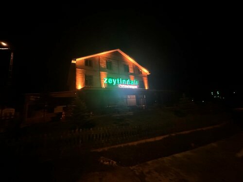Гостиница Zeytindali Highland Hotel в Тонье