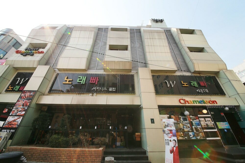 Фото Yongin Chameleon