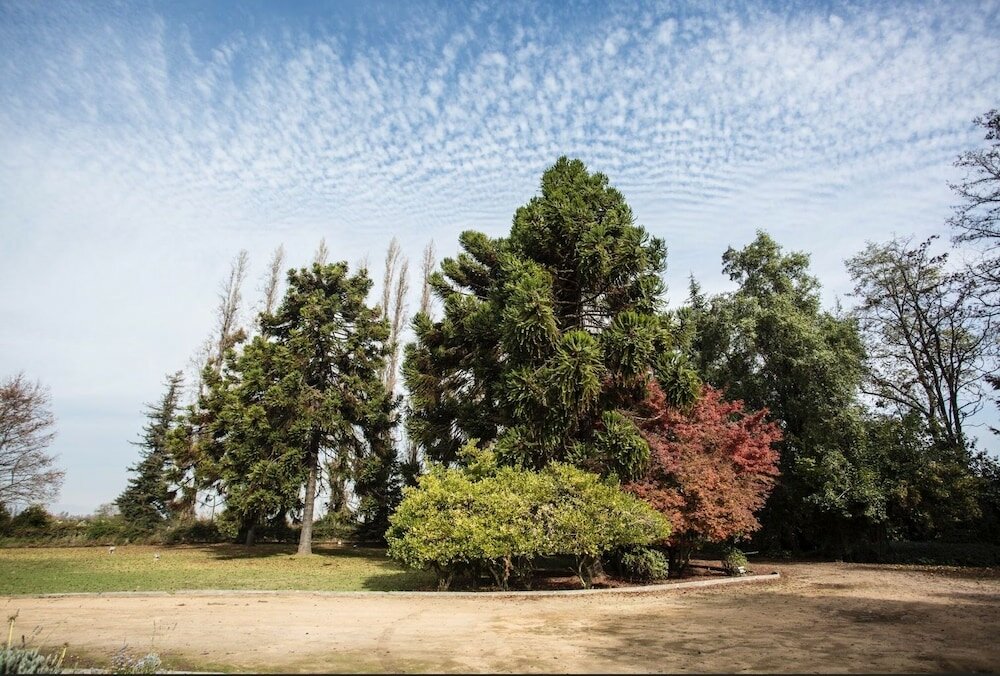 Фото Comalle Party Hotel