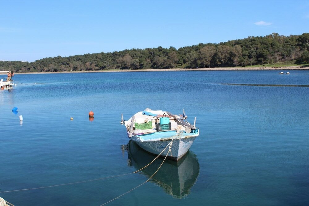 Фото Adonis Hotel