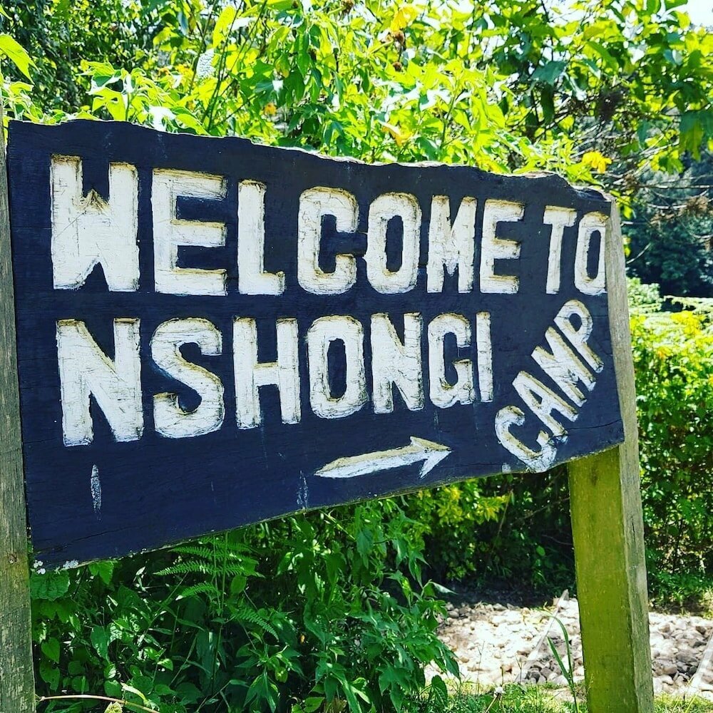 Hotel Nshongi Forest Camp, Earth, photo