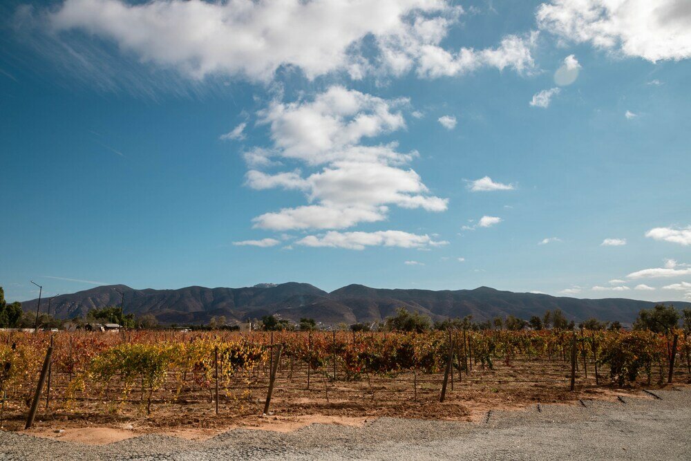 Фото Hotel Andana Resort