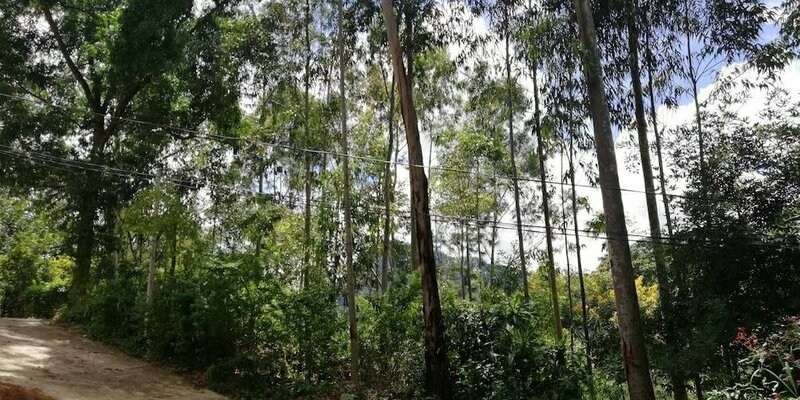 Гостиница Ella Forest Eco View