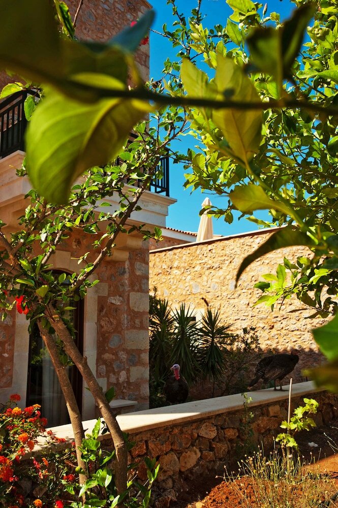 Фото Villas and Bungalows