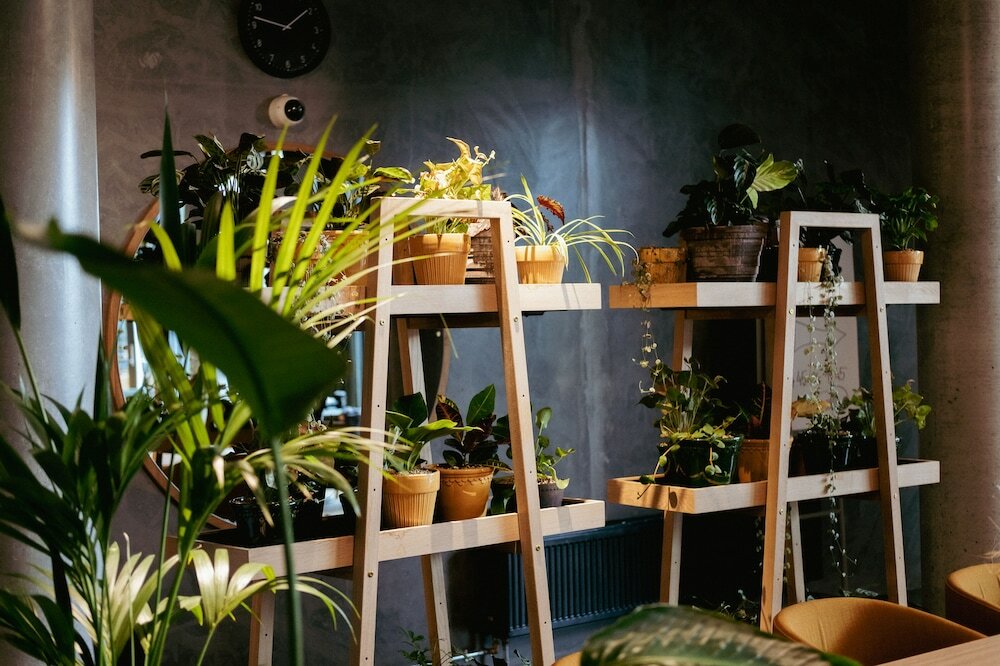 Фото Hotel GUESTapart