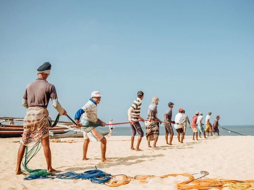 Фото New York Guest House