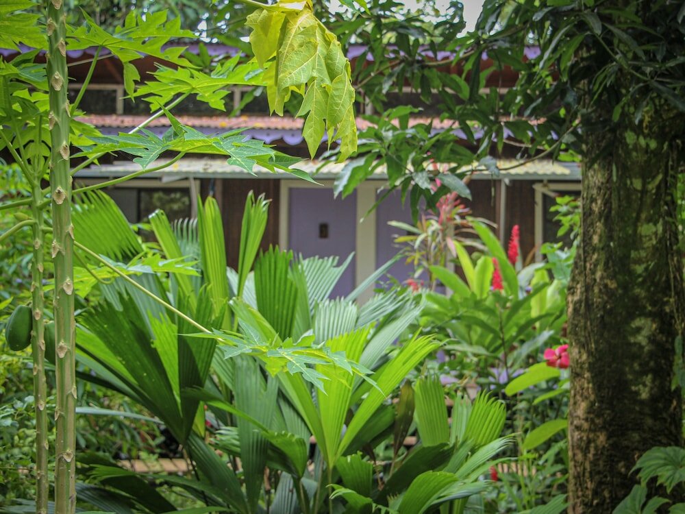 Фото Secluded Beach Hotel