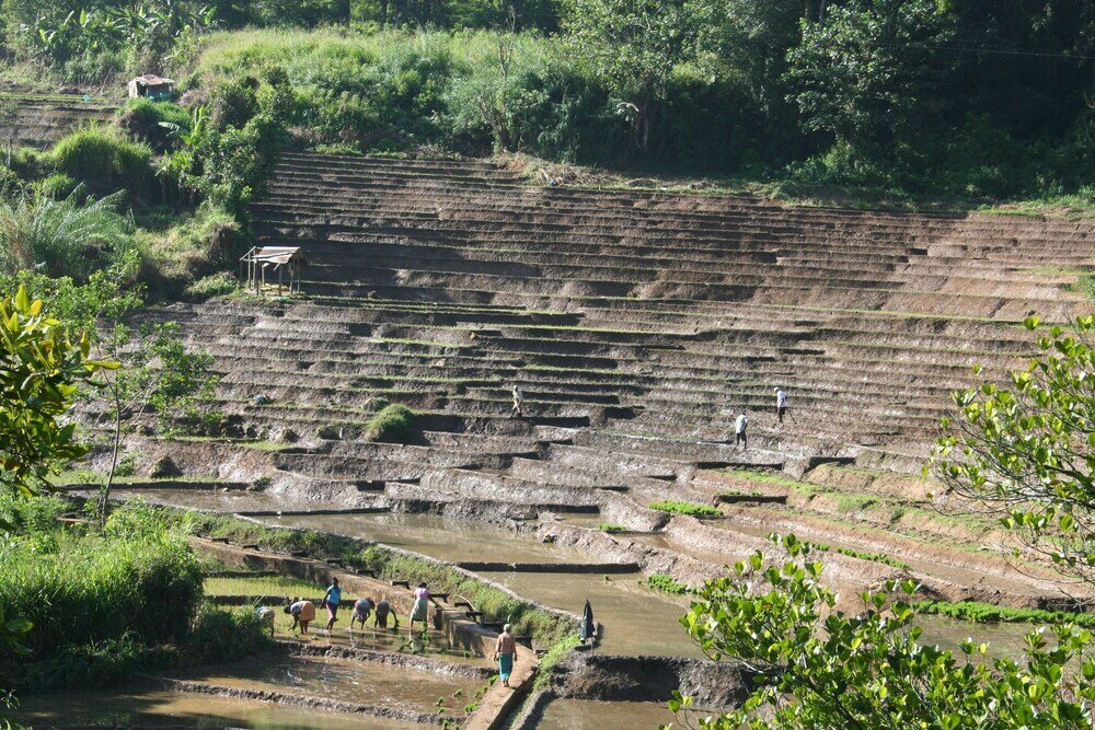 Фото Ayubo Ella - Bed & Breakfast
