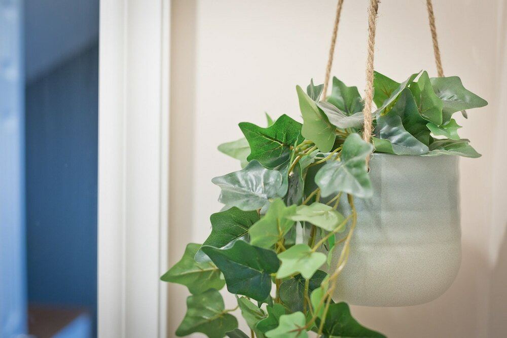 Фото Malleus House