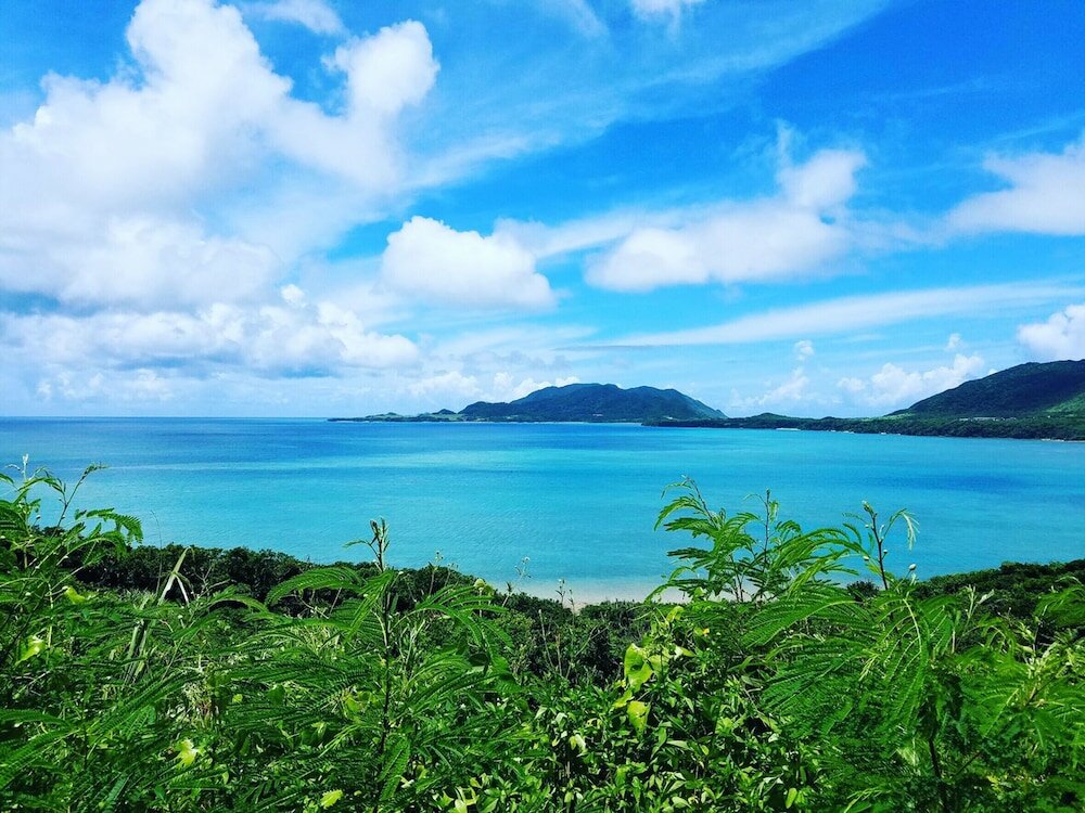 Фото Guesthouse Ho Aloha - Hostel