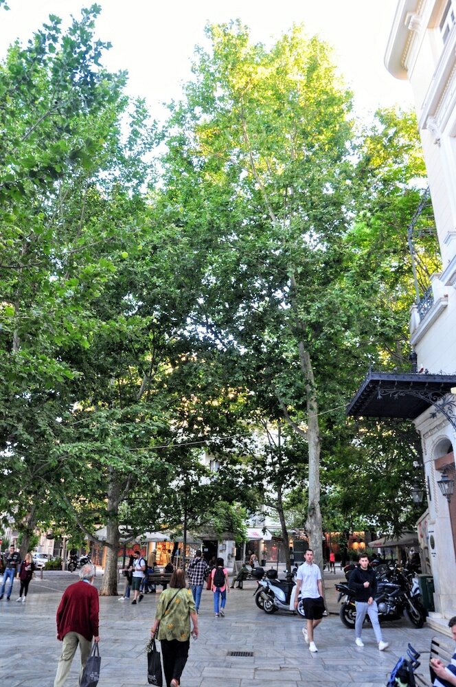 Фото Acropolis Museum Grand Apartment