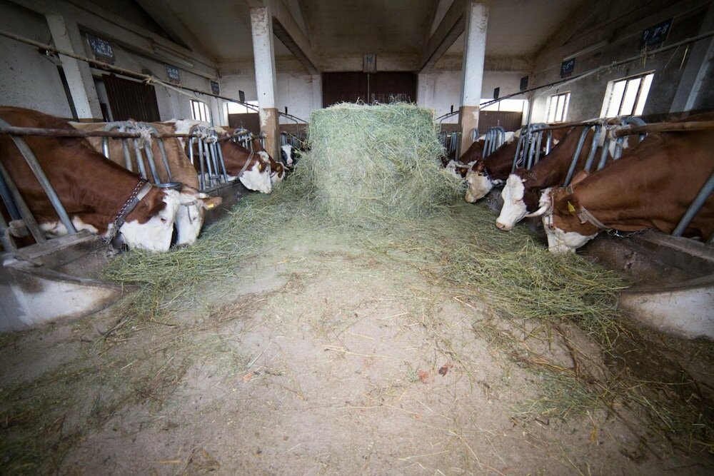 Фото La Fattoria dei Sibillini