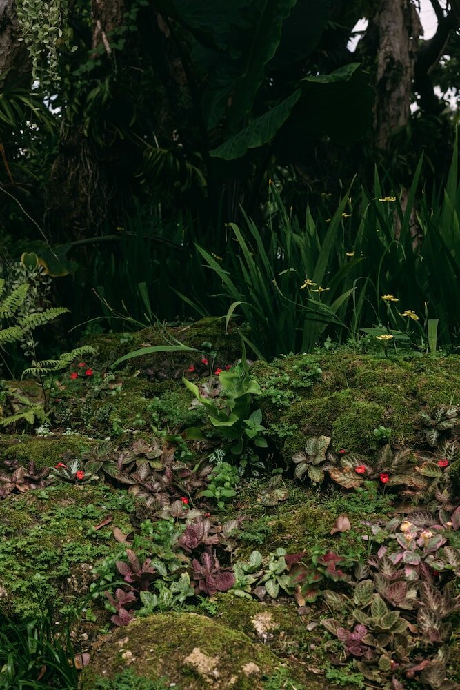 Фото The Cinnamon Resort Pattaya