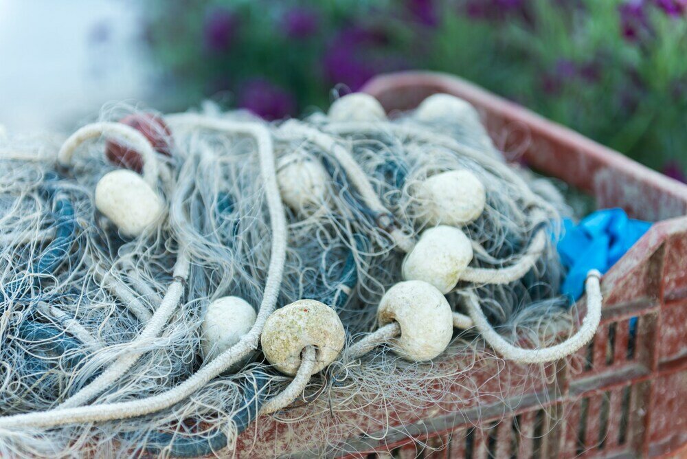 Фото Apartments Božović