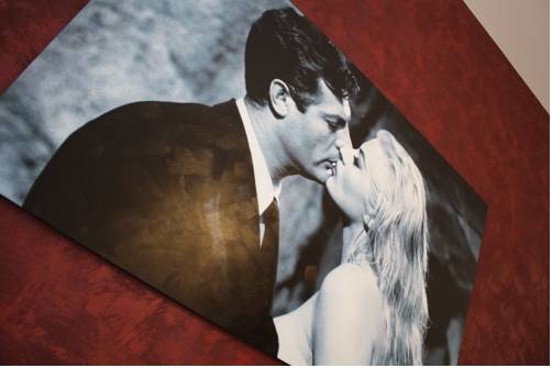 Фото Residenza Alexander Guest House