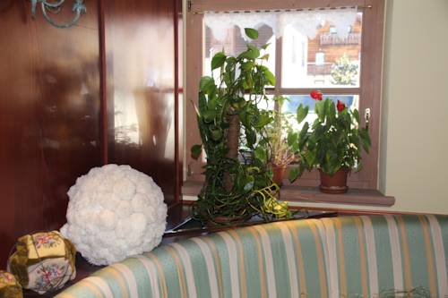 Фото Hotel Primula