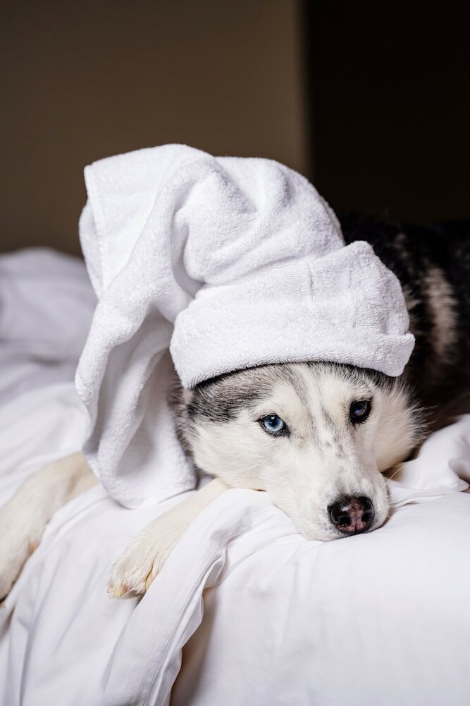 Фото Yerevan Place Hotel