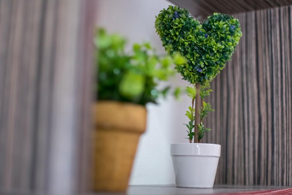 Фото Avra Comfort Rooms- Family