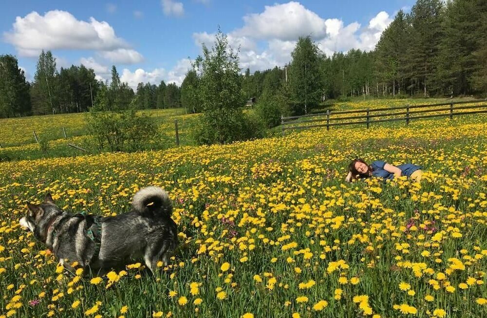 Фото Lentiira Holiday Village