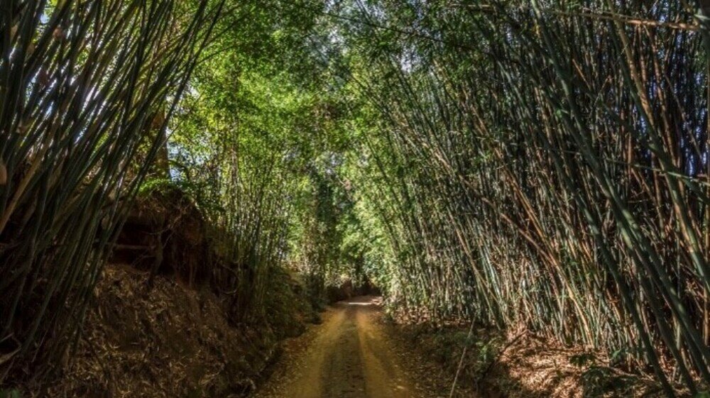 Фото Fazenda Santa Bárbara - Eventos e Filmagens