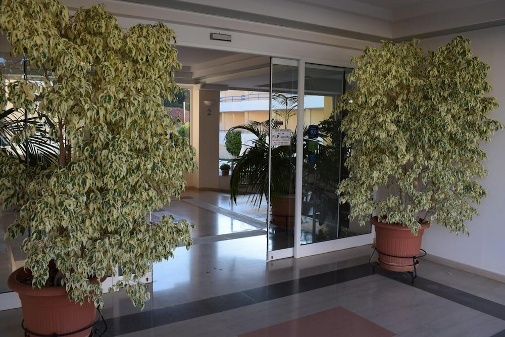 Фото Adonis Hotel