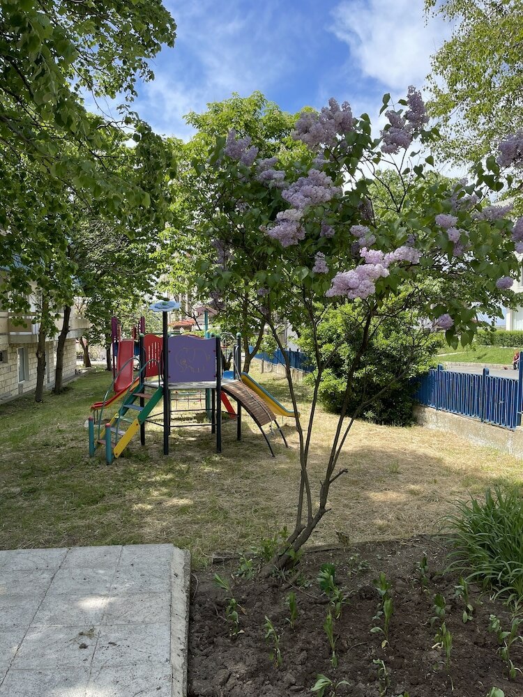 Фото Amadina Garden