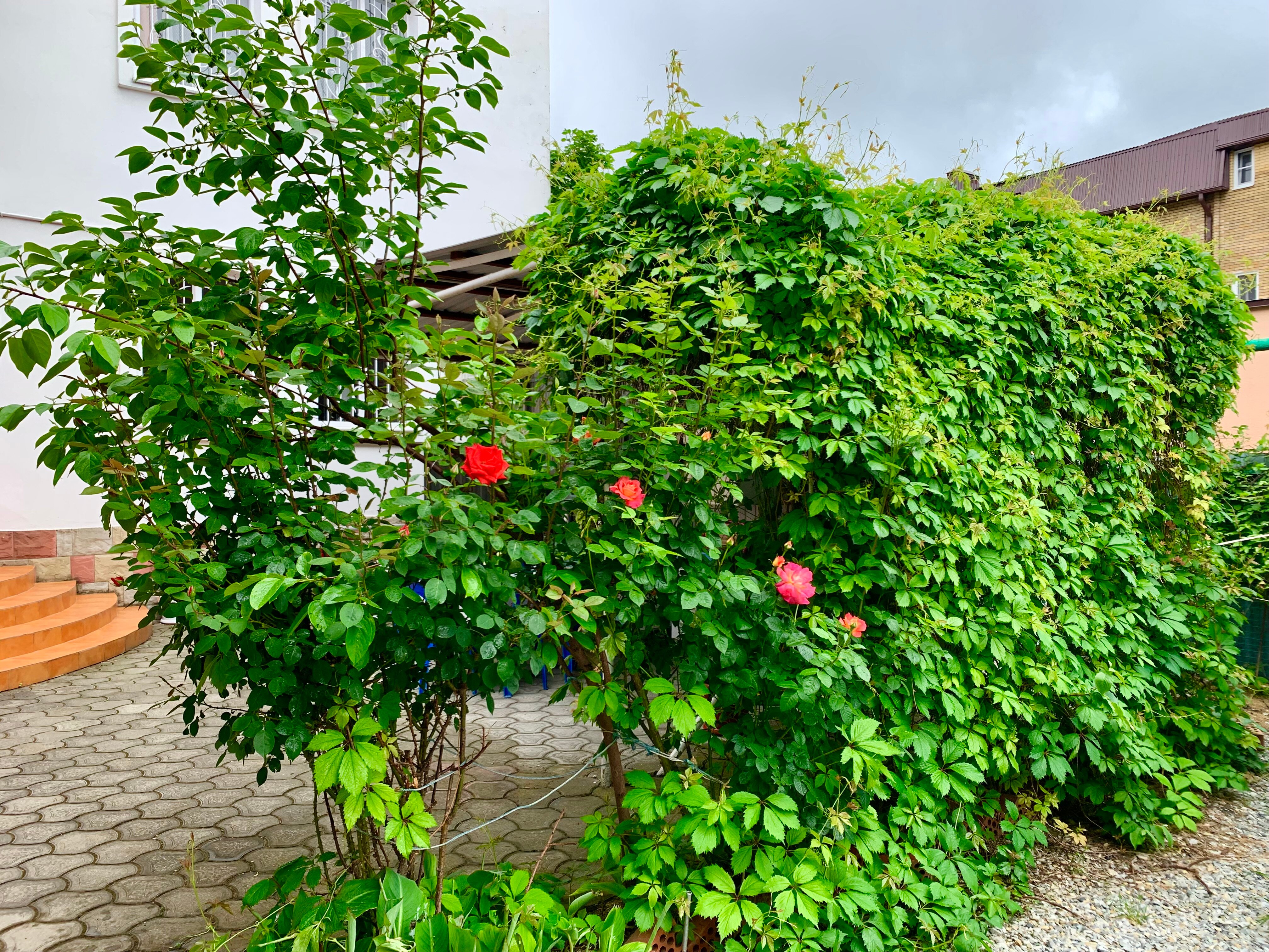 Фото Нинель