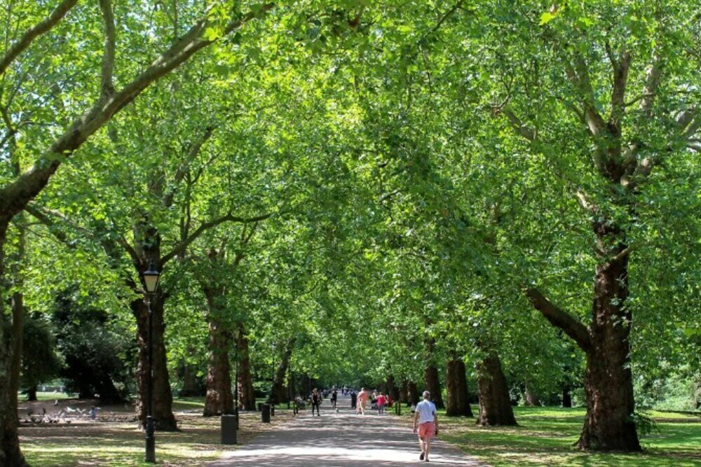 Фото Refurbished St. johns Hill Apartment
