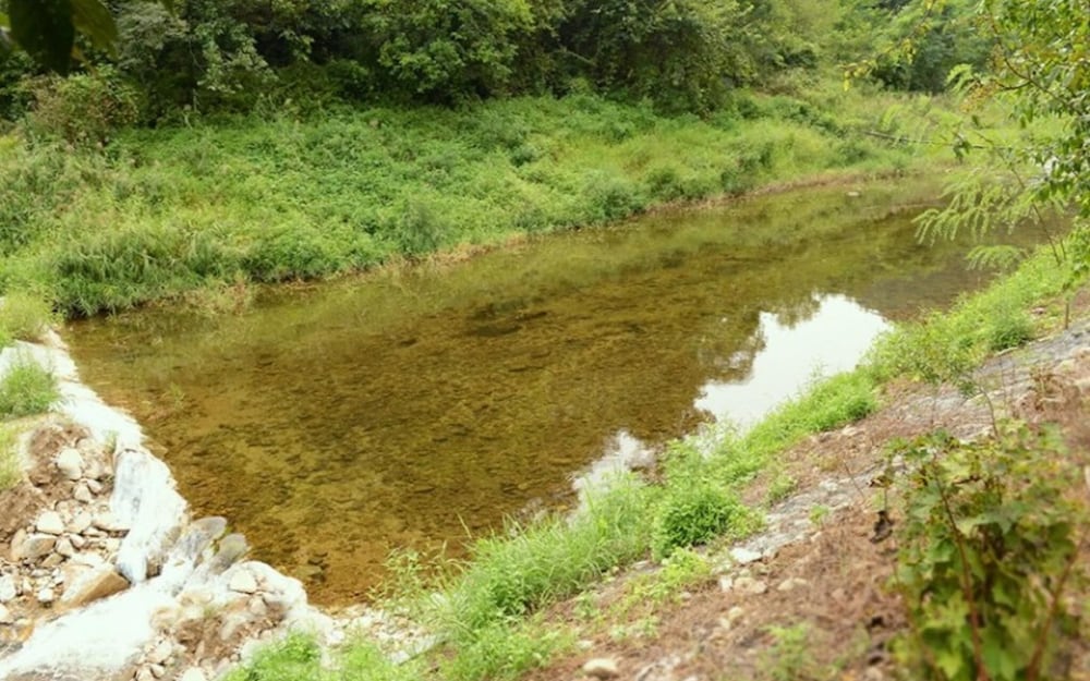 Фото Yangyang Sigol Punggyeong Pension