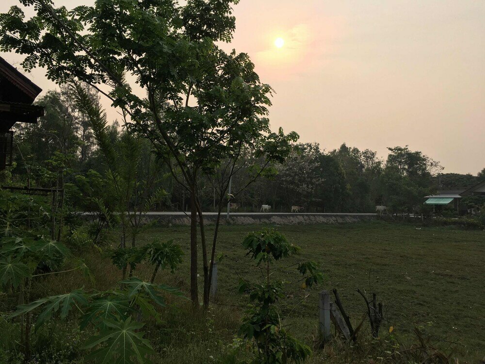 Фото Songphu Homestay