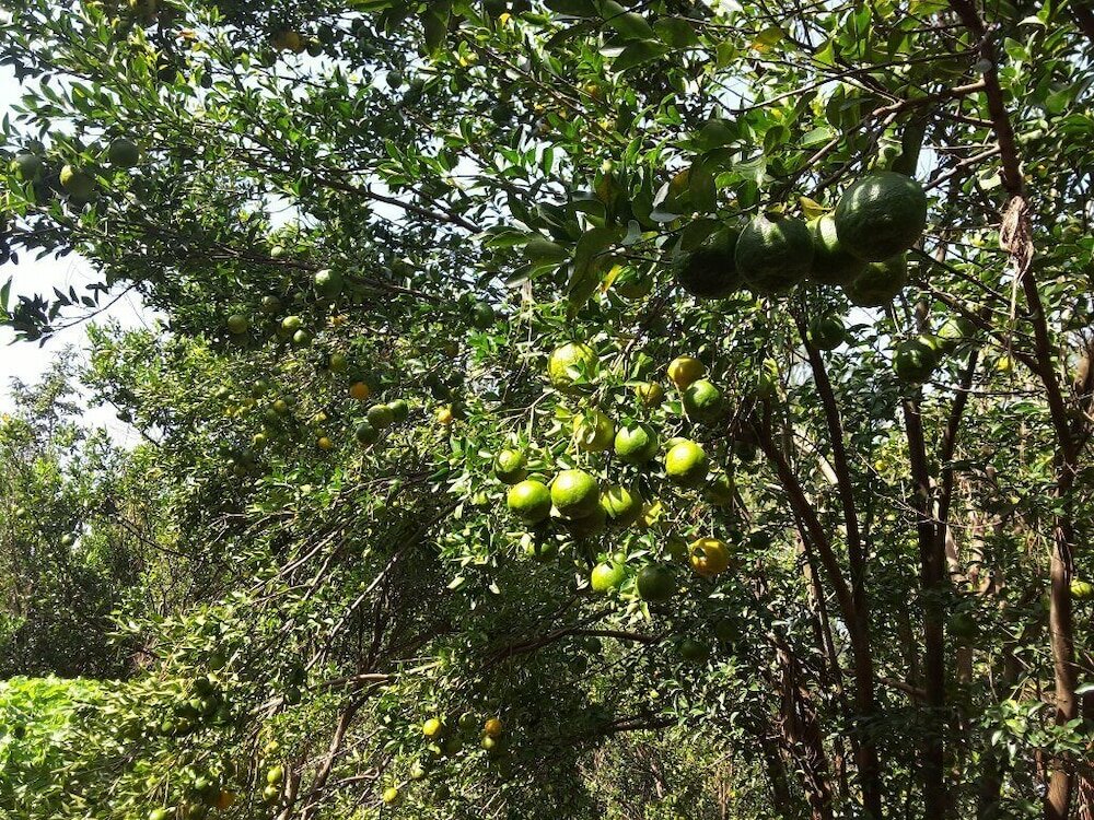 Фото Brownstone Country Home Lira Uganda