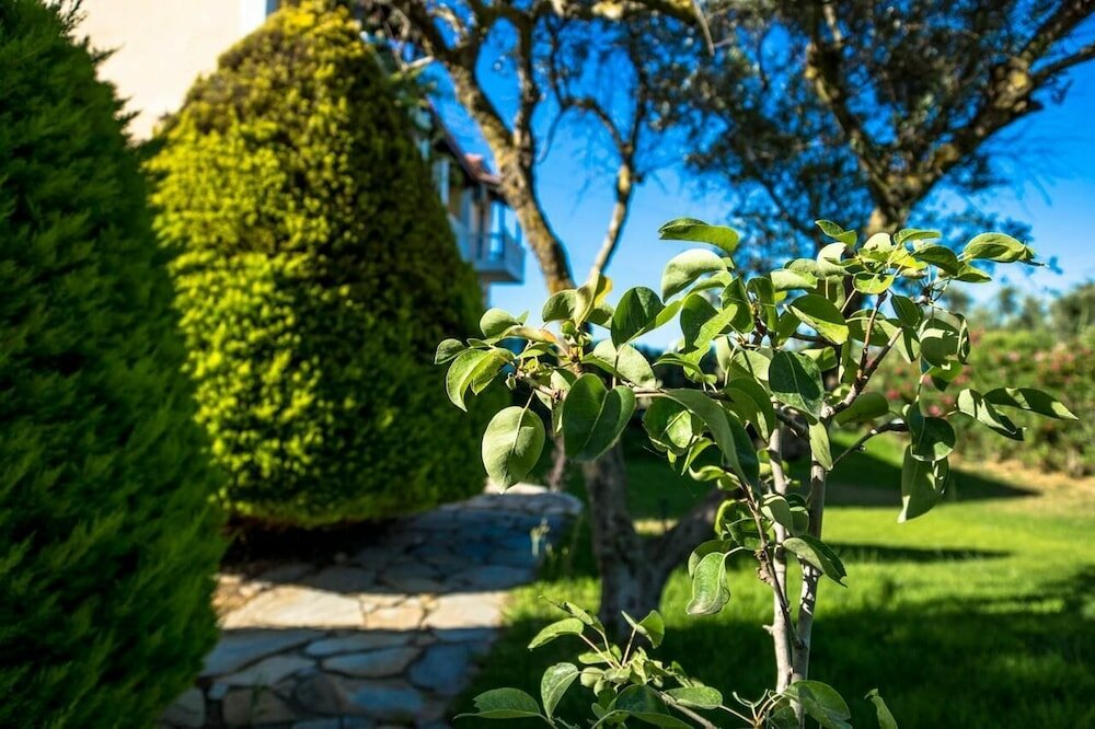 Фото Studios Petra