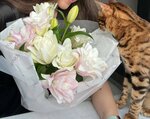 Flora Contora (ул. Гагарина, 50, Томск), магазин цветов в Томске