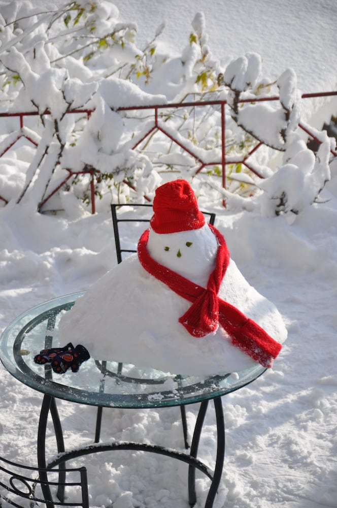 Фото The Chalets Naldehra