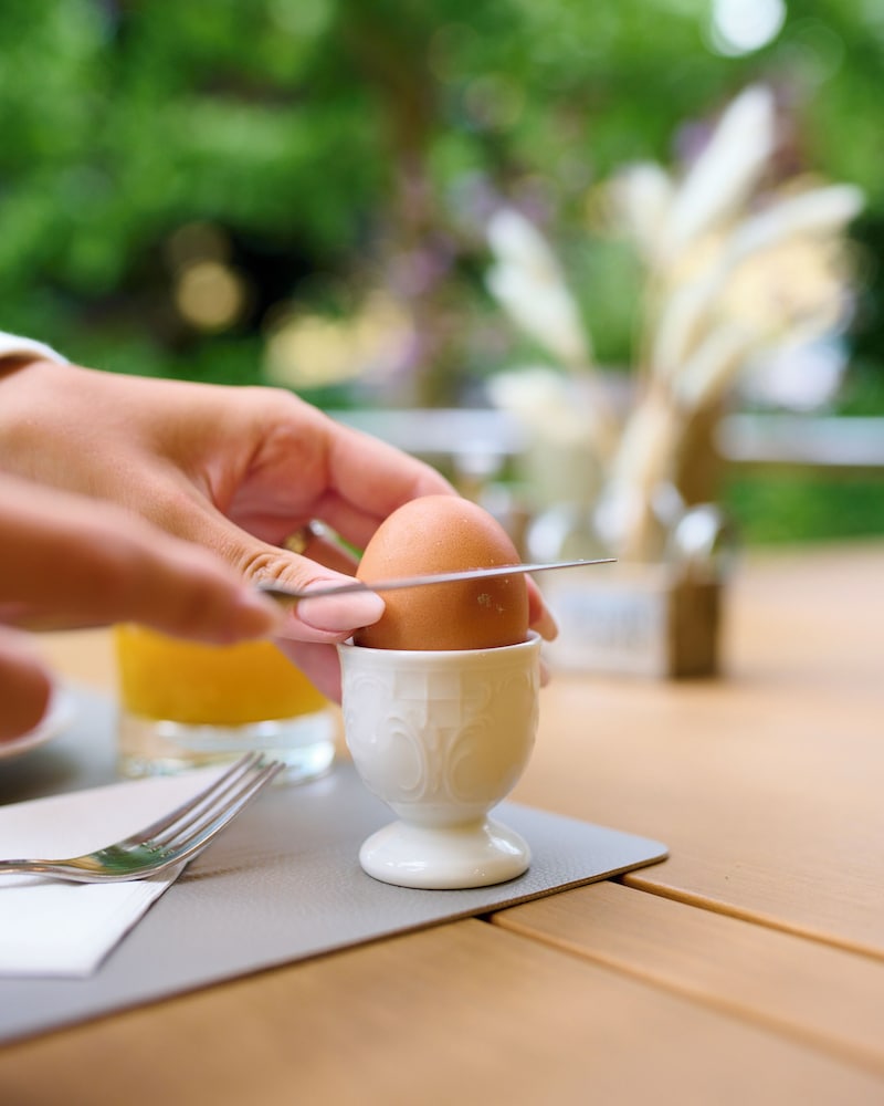 Фото Ferienwohnungen - Appartements Pension Zollner